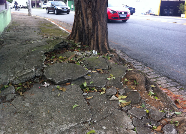 Rua Vergueiro, na altura do número 8618: raiz de árvore monstruosa destroçou boa parte do calçamento