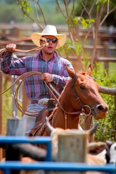 Fotos: Conheça André Forzan Pessoa, o peão gato de Barretos 2015 -  21/08/2015 - UOL Entretenimento