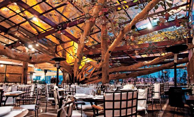 The Figueira Rubaiyat restaurant: dining room with an impressive look The Figueira Rubaiyat restaurant: dining room with an impressive look