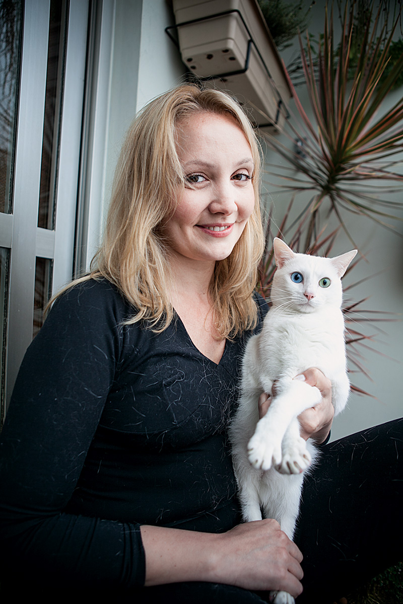 USP estuda a eficácia de células-tronco para tratar cães