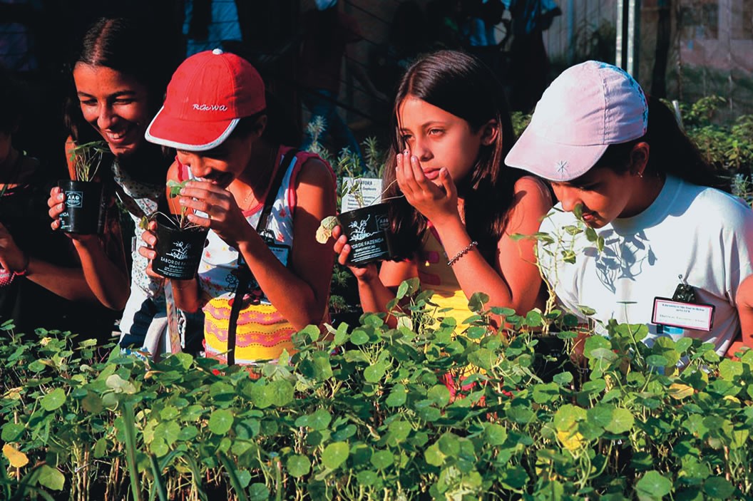 Férias educativas 2247- Sabor da Fazenda