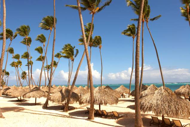 Sombra e água fresca: o coqueiral à beira-mar do resort Paradisus Palma Real, na Praia de Bávaro