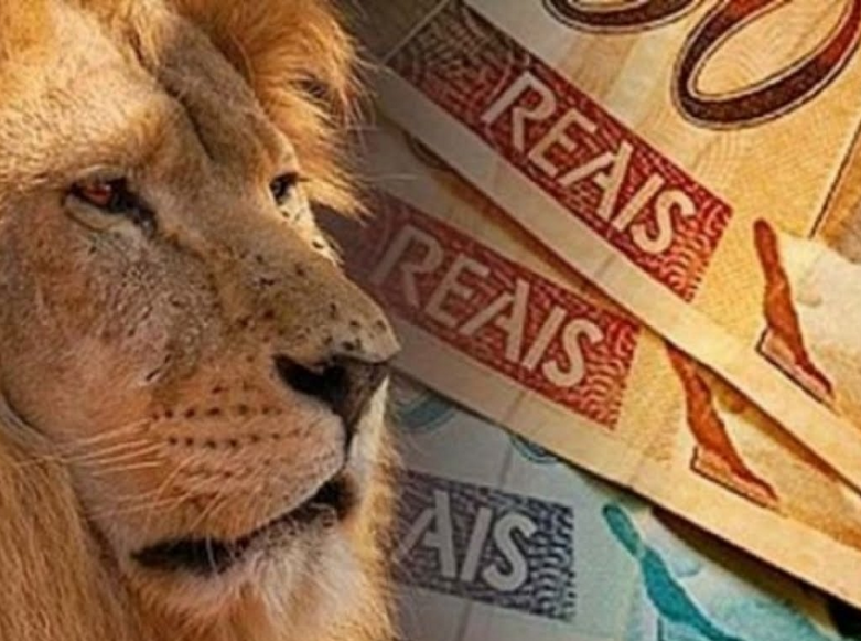 Imagem mostra um Leão à esquerda e notas de dinheiro à direita