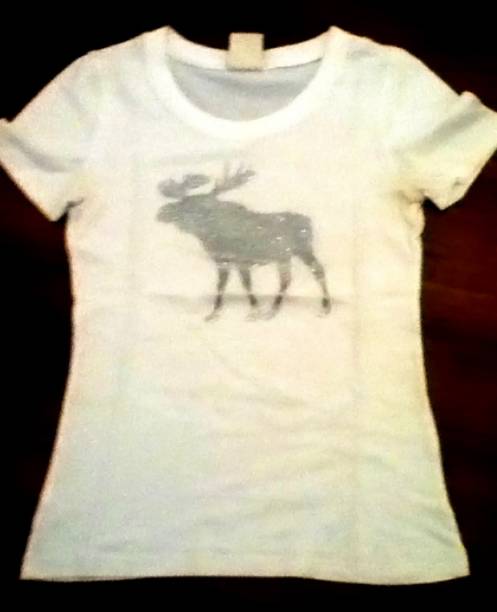 Camiseta da Abercrombie. Pre&ccedil;o: R$ 5,00