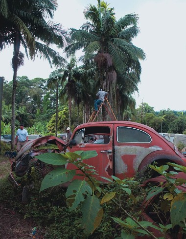 Depósito Zona Sul - carro apreendido - 2216