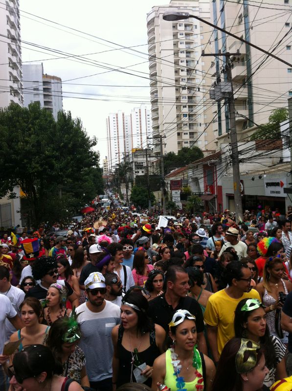 Cerca de 2 mil pessoas aproveitam fantasiados o bloco João Capota na Alves, em Pinheiros