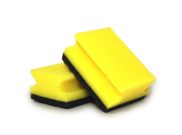 esponja