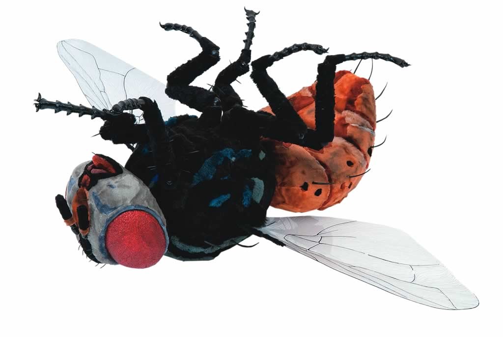A mosca de Camille Kachani - 2163