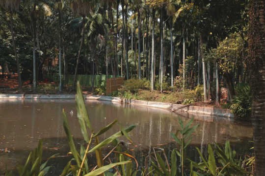 Parque da Água Branca 2184