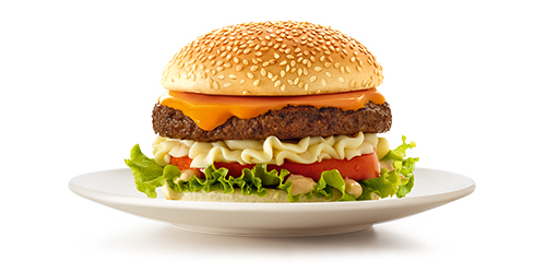 hamburger habibs