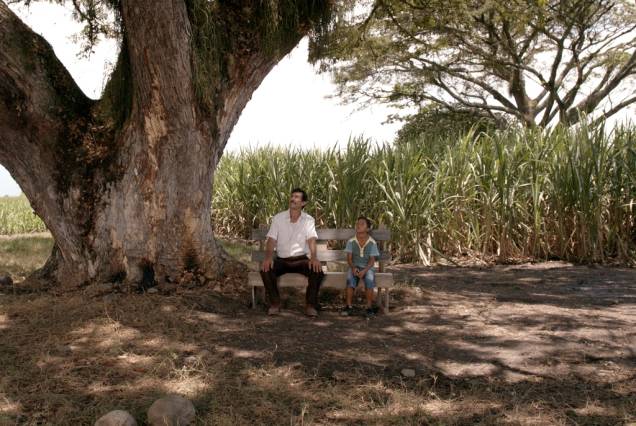 A Terra e a Sombra: longa colombiano é dirigido por César Augusto Acevedo