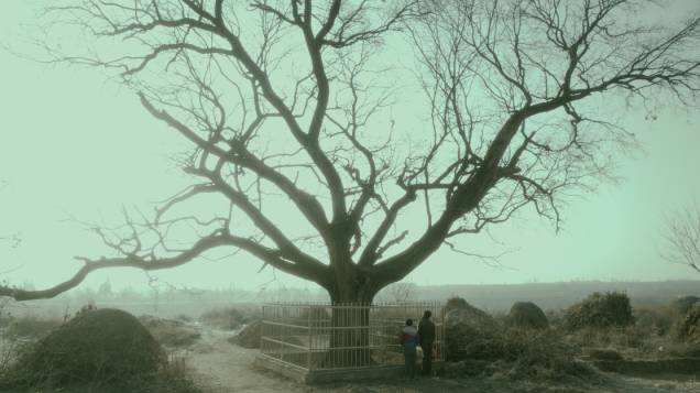 A Vida Após a Vida (2016), de Zhang Hanyi