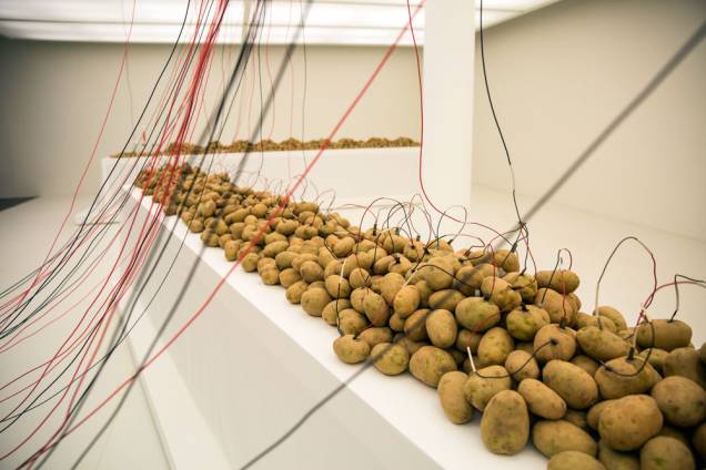 As batatas de Víctor Grippo: tentativas de surpreender e de criar interatividade com o público
