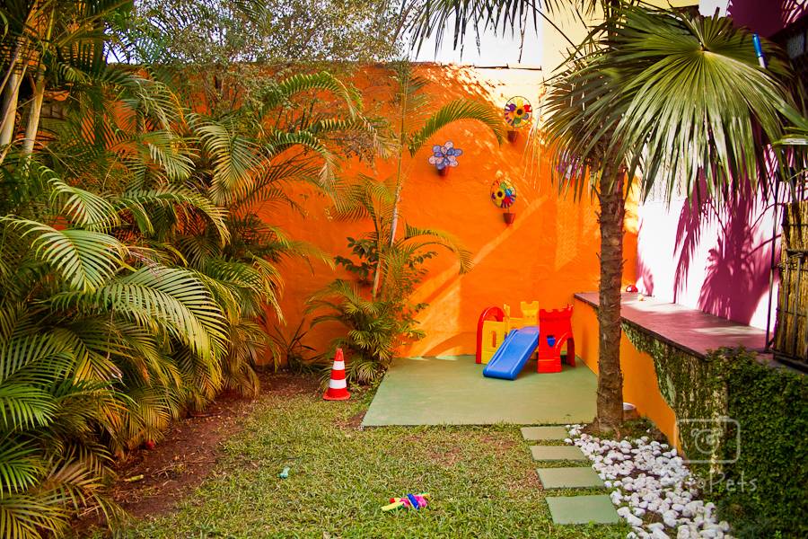 Cãominhando – creche dos pets