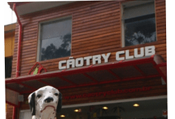 caotry-club.png