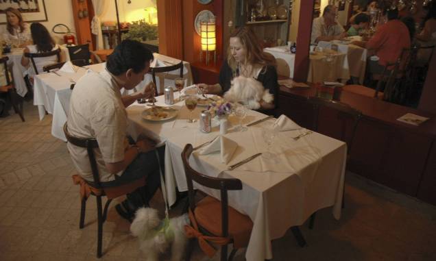 Clientes almoçando com seus cães no restaurante Farfalla