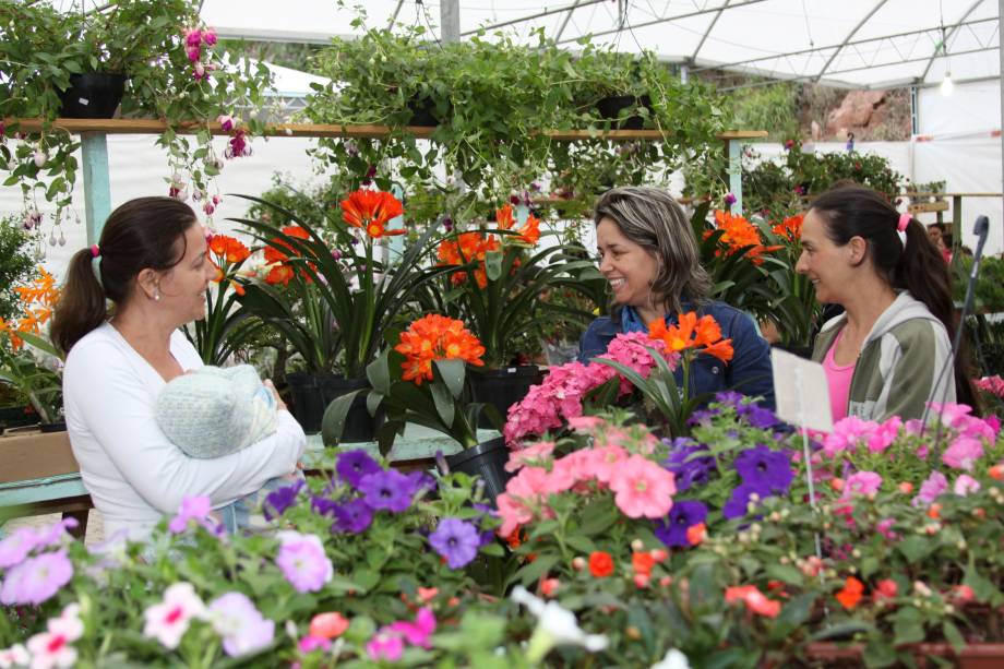 Público pode levar exemplares de flores para casa