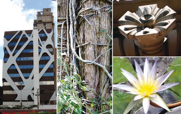 Exposição traz imagens de jardins botânicos de diferentes cidades do país