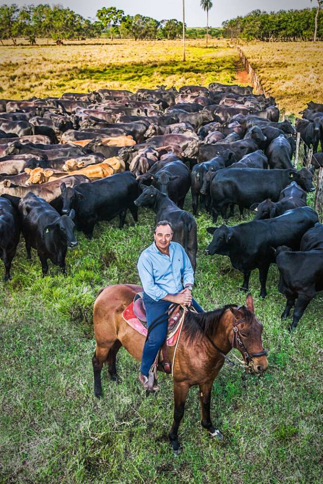 Iglesias Filho: 5000 cabeças de gado Iglesias Filho: 5000 cabeças de gado