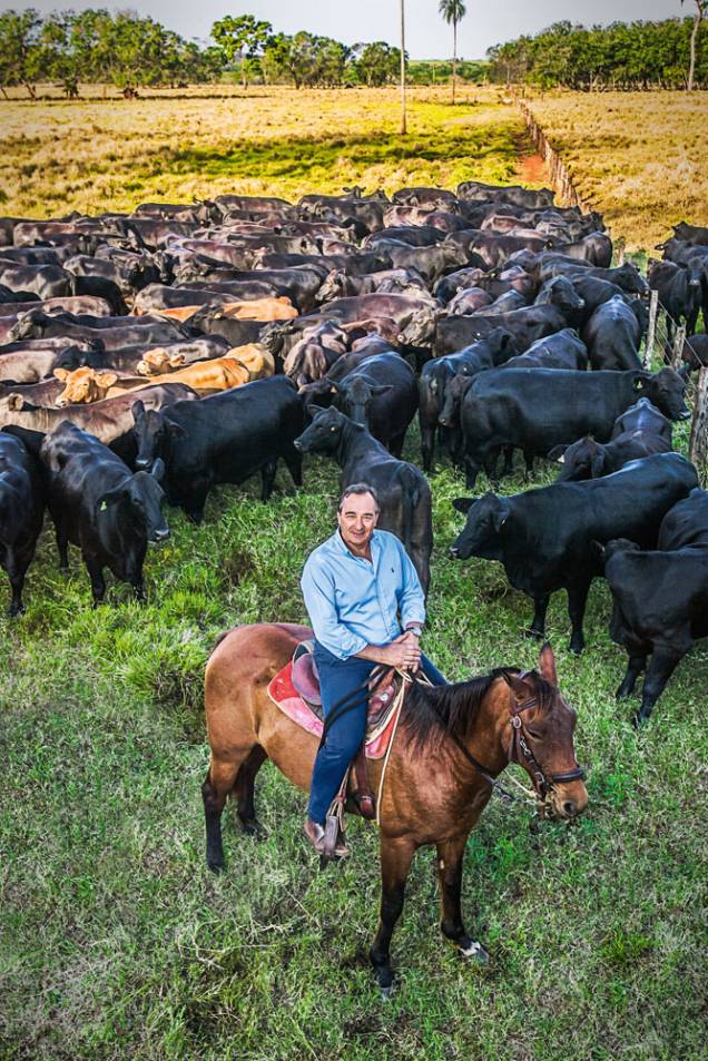 Iglesias Filho: 5000 cabeças de gado