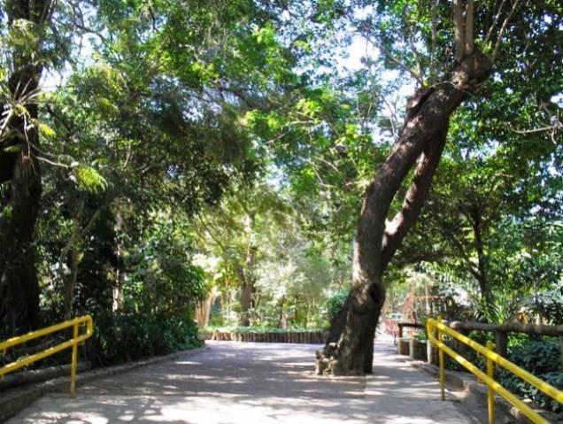 Parque Nabuco