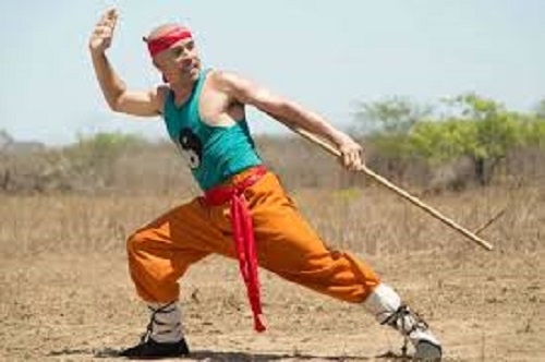 o-shaolin-do-sertao-2.jpeg