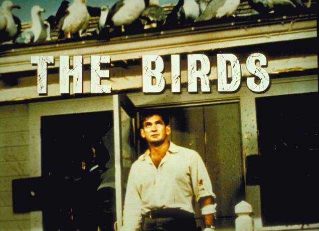 Os Pássaros: o longa foi eleito o 7º thriller mais assustador do cinema americano pelo American Film Institute