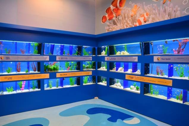 Petz - Morumbi: área de aquários com 8.000 litros d’água
