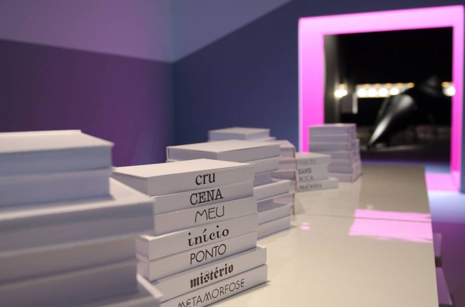 Lucas Viriato é o curador da exposição
