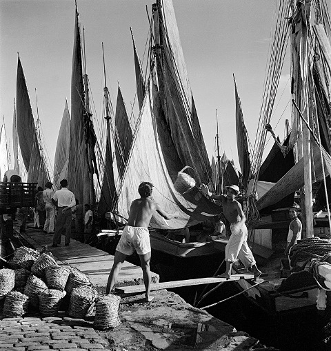 porto-belem-brasil-1948-jpg.jpeg