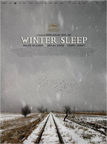 Pôster Winter Sleep Pôster Winter Sleep