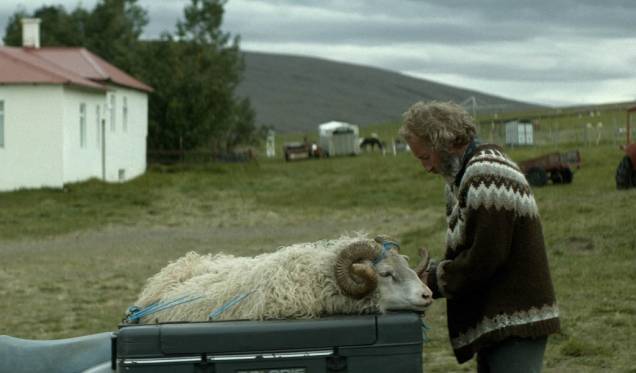 A Ovelha Negra: dois irmãos que não se falam precisam se unir para salvar suas ovelhas