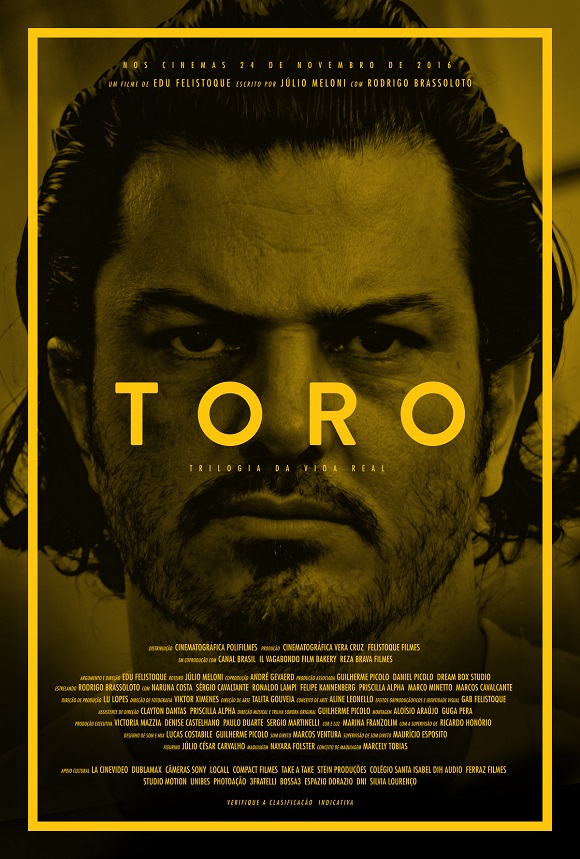 Pôster do filme Toro