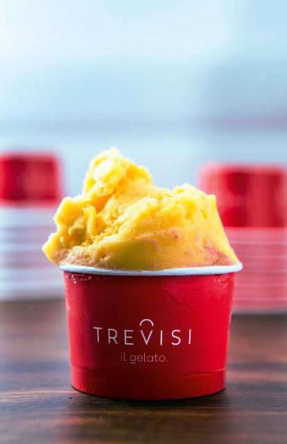 trevisi.jpeg