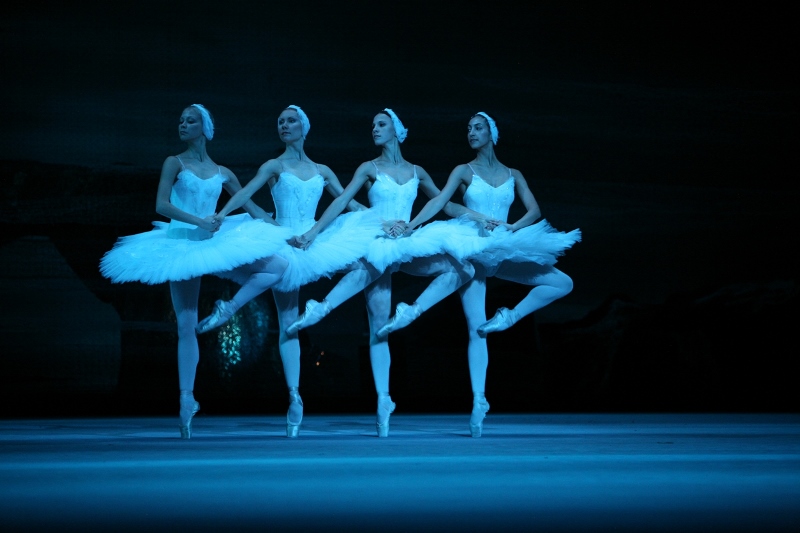 uci_o-lago-dos-cisnes.jpeg