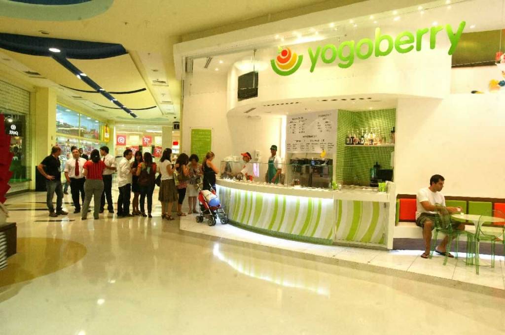 Iogurte Yogoberry