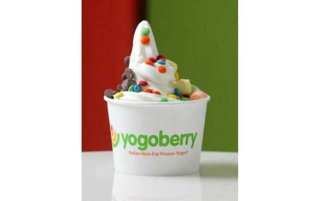 Yogoberry: frozen yogurts