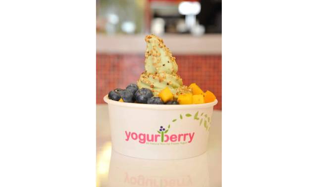 Yogurberry - Frozen Yogurts