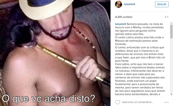 Luisa Mell critica Latino após cantor publicar uma foto de seu macaco de estimação “fumando” narguilé