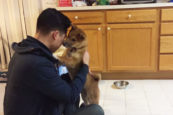 Basta pedir, e cachorrinho fofo abraça dono; assista