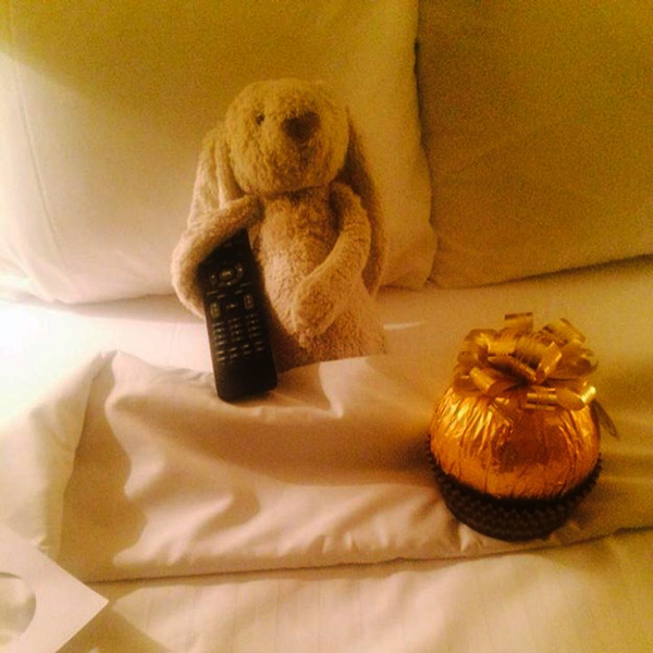 Coelho de pelúcia tem “aventura de luxo” após ser esquecido por dona em hotel