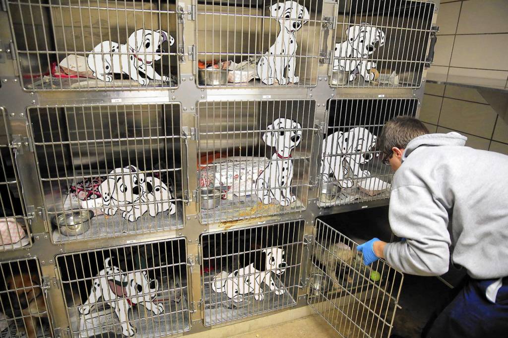 Artista transforma finais felizes dos desenhos Disney em pesadelos