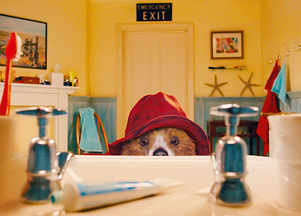 As Aventuras de Paddington: o ursinho muito fofo, da selva peruana para a capital inglesa As Aventuras de Paddington: o ursinho muito fofo, da selva peruana para a capital inglesa