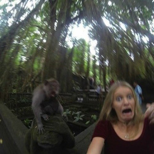 Disputa em torno de selfie de macaco chega ao fim – DW – 12/09/2017