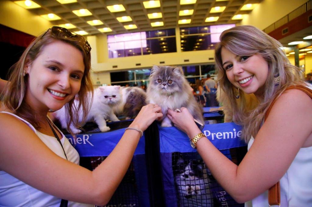 Exposição de gatos na Avenida Paulista