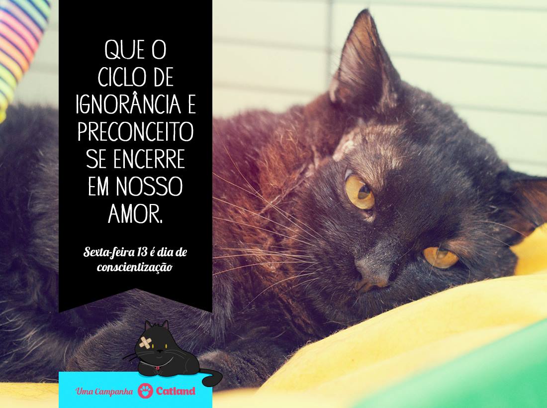 Sexta-feira 13  Os gatos pretos mais ICÔNICOS da Cultura Pop - CinePOP