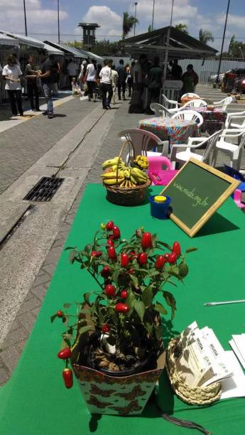 	Estacionamento do Shopping VillaLobos recebe a feira orgânica aos domingo