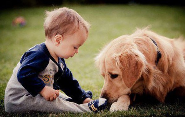 Cachorro e bebê