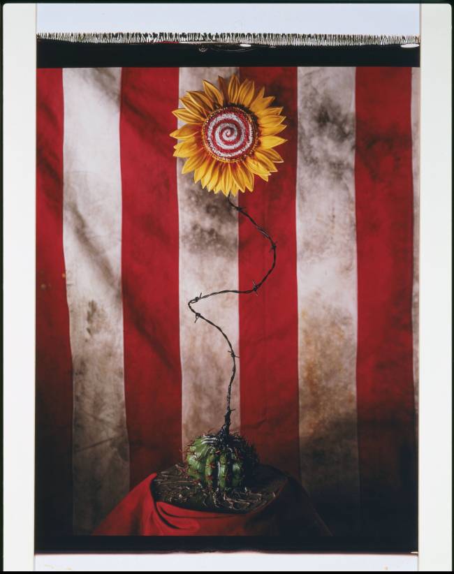 1413 Sem título (História sobrenatural girassol) 1994 Polaroid (c) 2015 Tim Burton