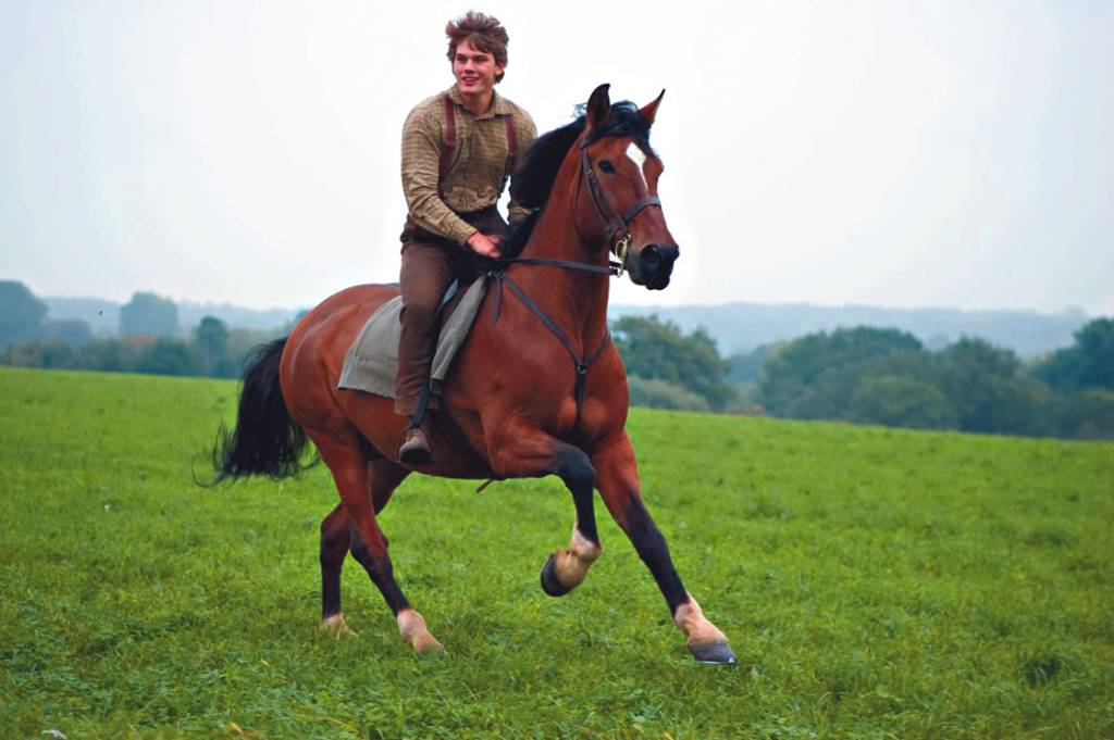 2011_war_horse_012